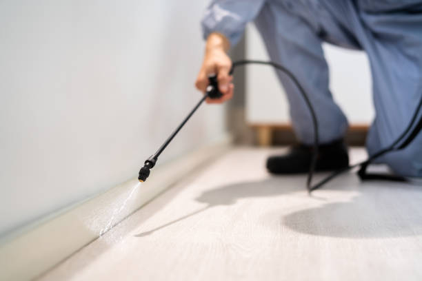 Licensed Cockroach Control service in Grant, MI - Nex Pest Control