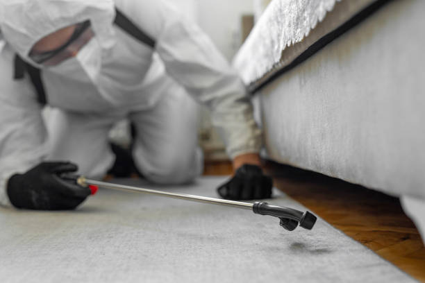 Professional Cockroach Control technician working in Grant, MI