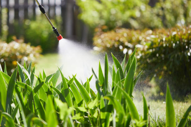 24/7 Emergency Cockroach Control experts in Grant, MI