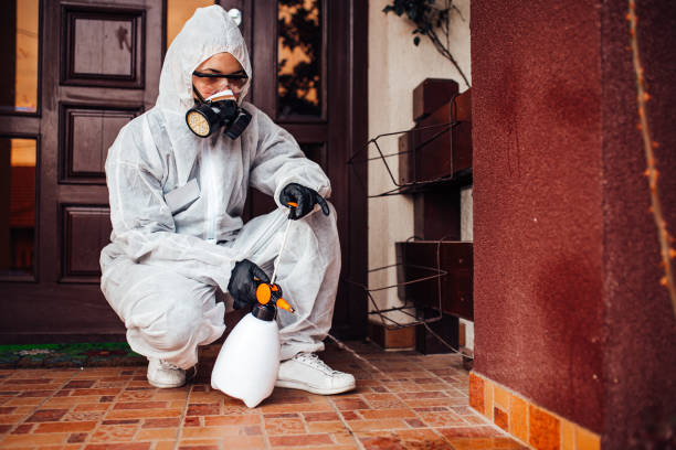 Reliable Cockroach Control contractor in Grant, MI by Nex Pest Control